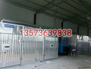 兩聯體木材烘干箱