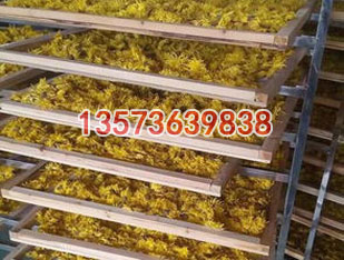 菊花烘干機