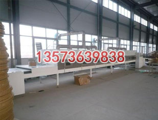 蔬菜網帶烘干機